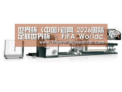 视频展示一