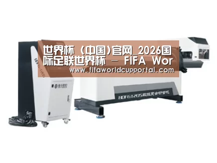 案例展示三