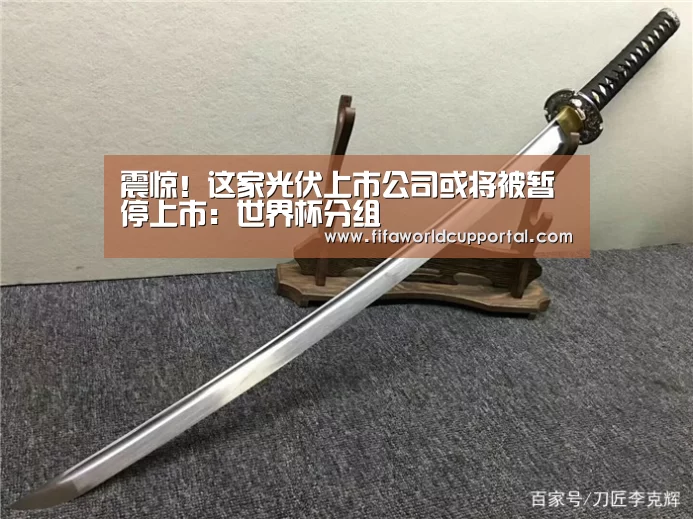 震惊!这家光伏上市公司或将被暂停上市:世界杯分组(图2) 世界杯附加赛